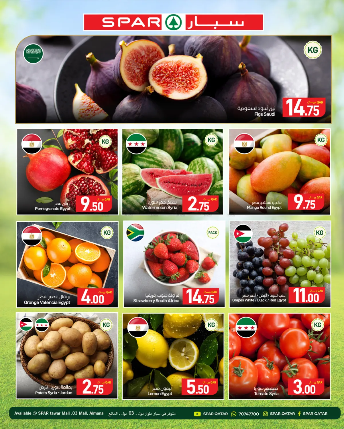 Fresh Deals in الدوحة