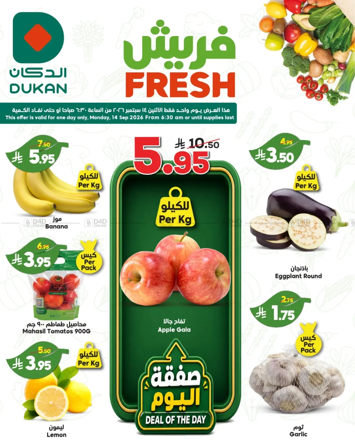 Fresh in جدة