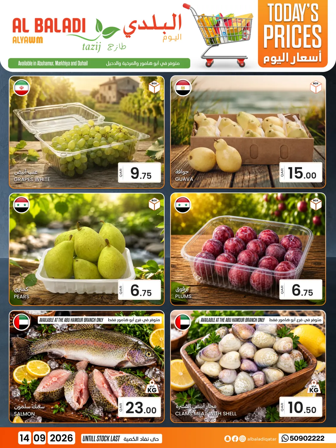 Today's Prices in Umm Salal