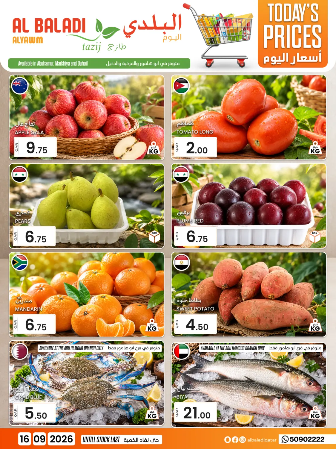 Today's Prices in Al Shamal