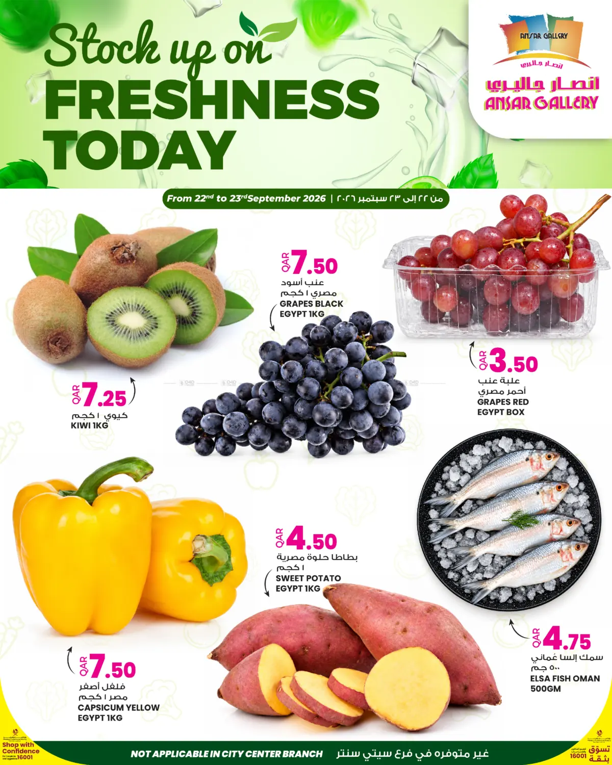Stock Up On Freshness Today in Umm Salal