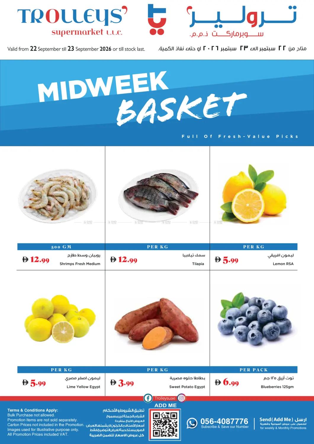 Midweek Basket in Dubai