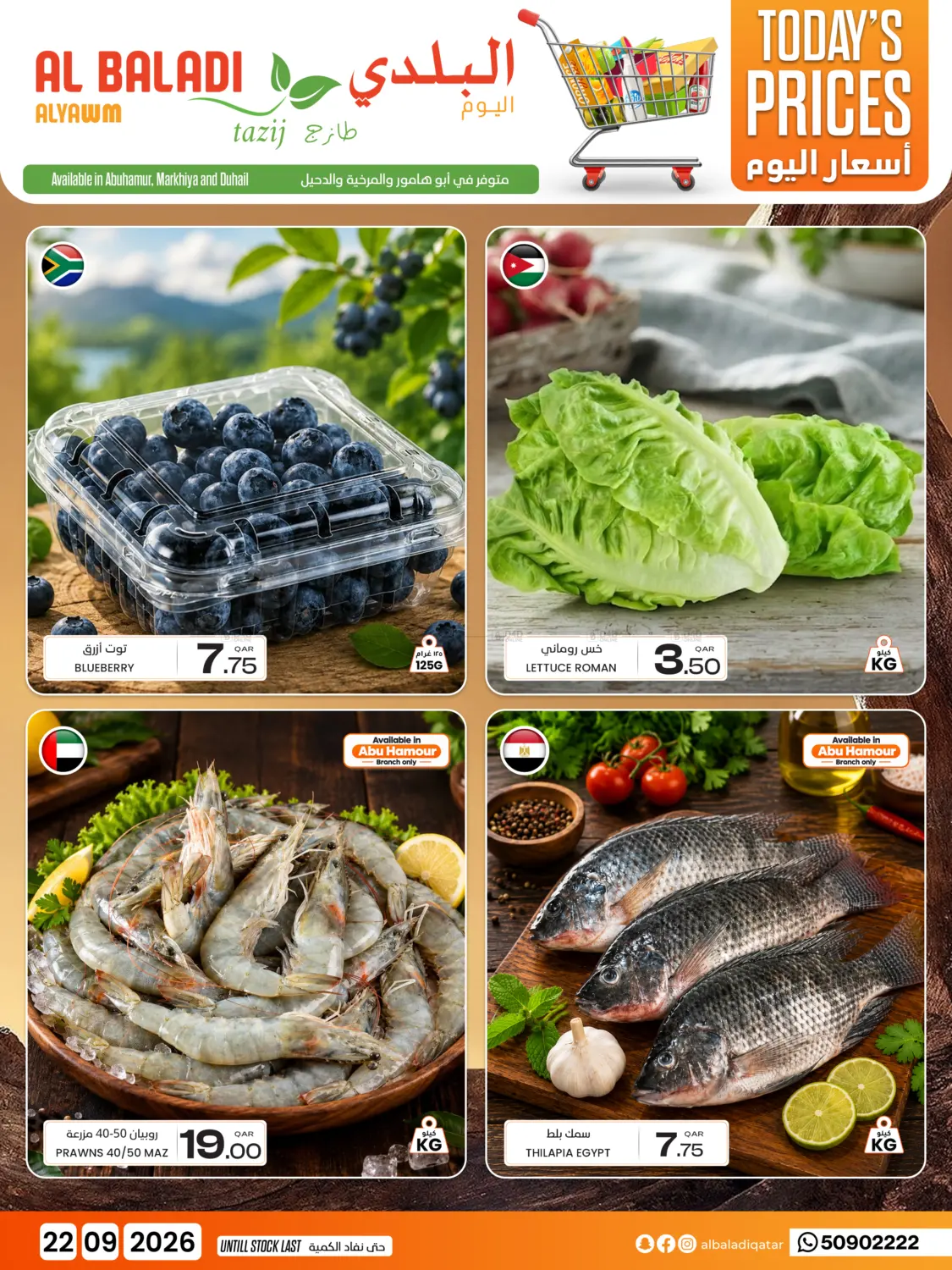 Today's Prices in Al Daayen