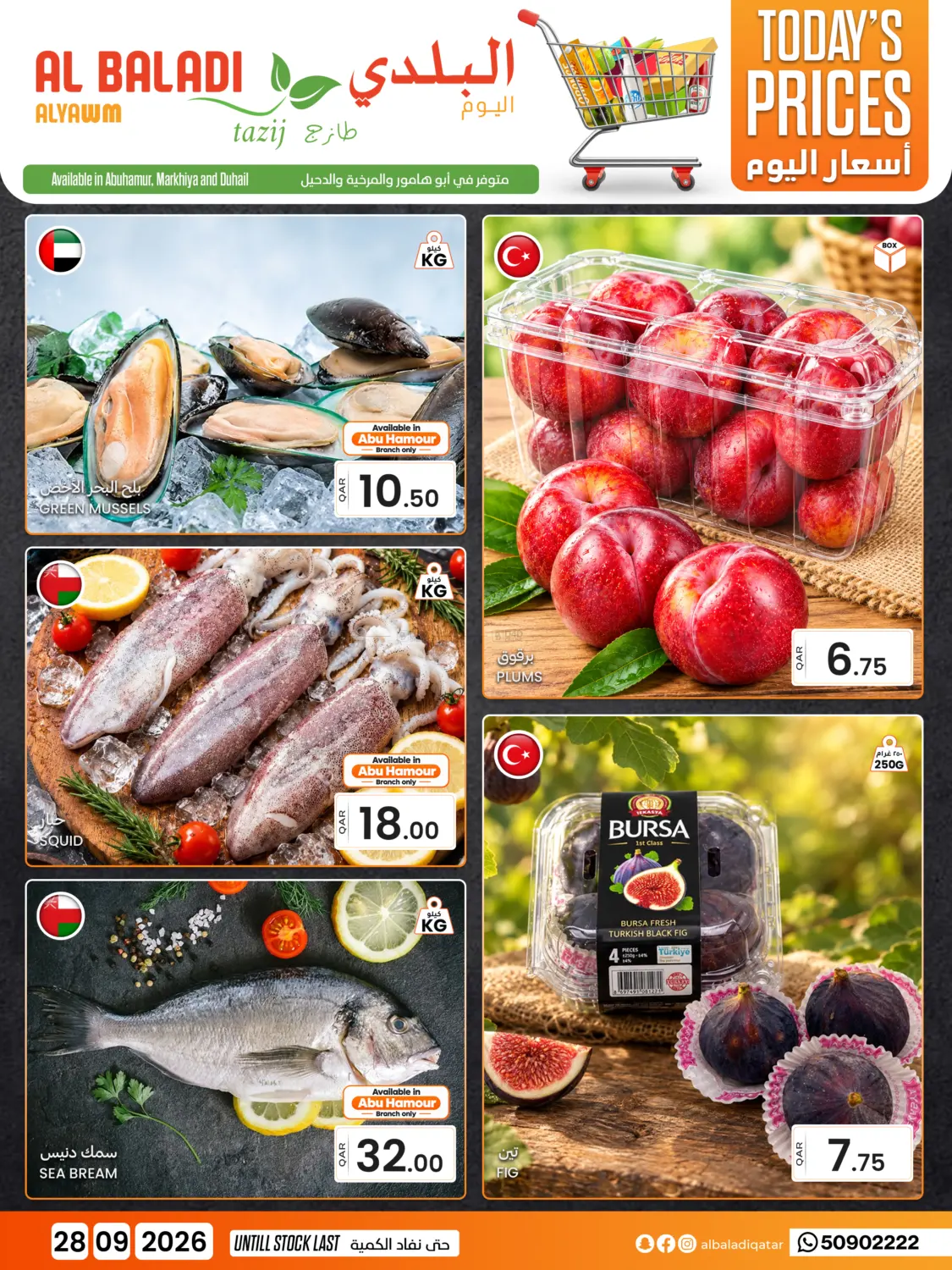 Today Prices in Al Shamal