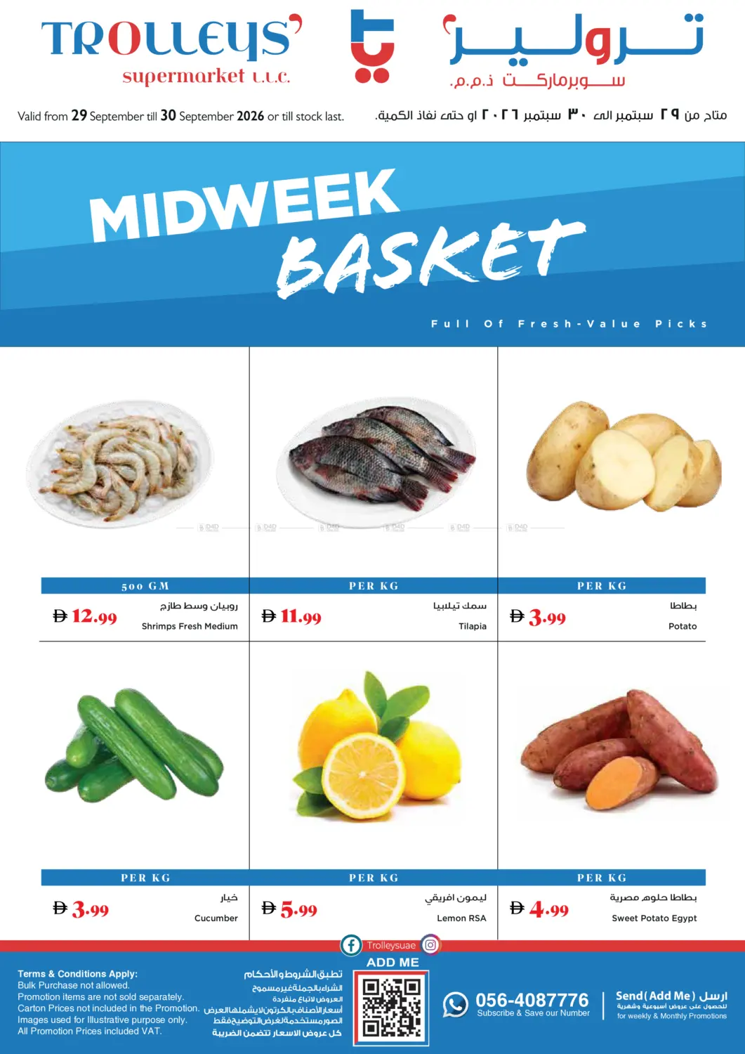 Midweek Basket in Dubai