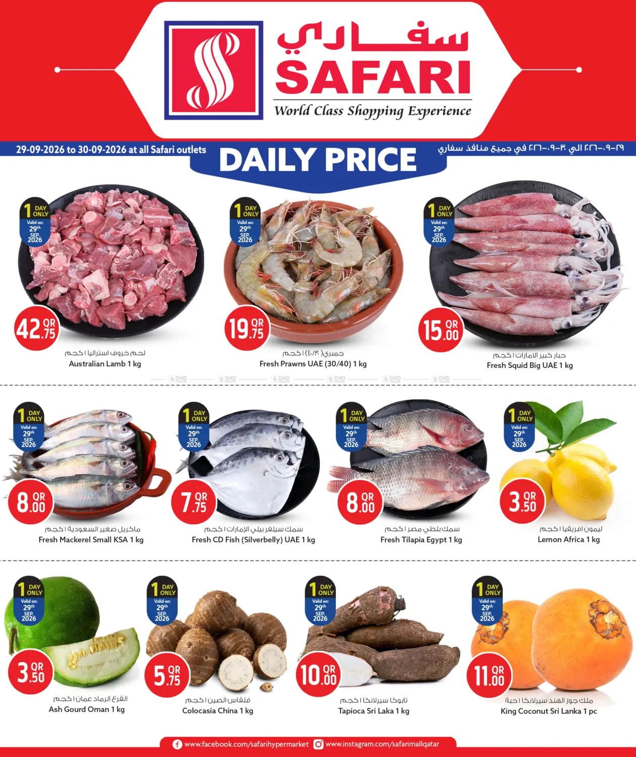 Daily Price in Al Rayyan