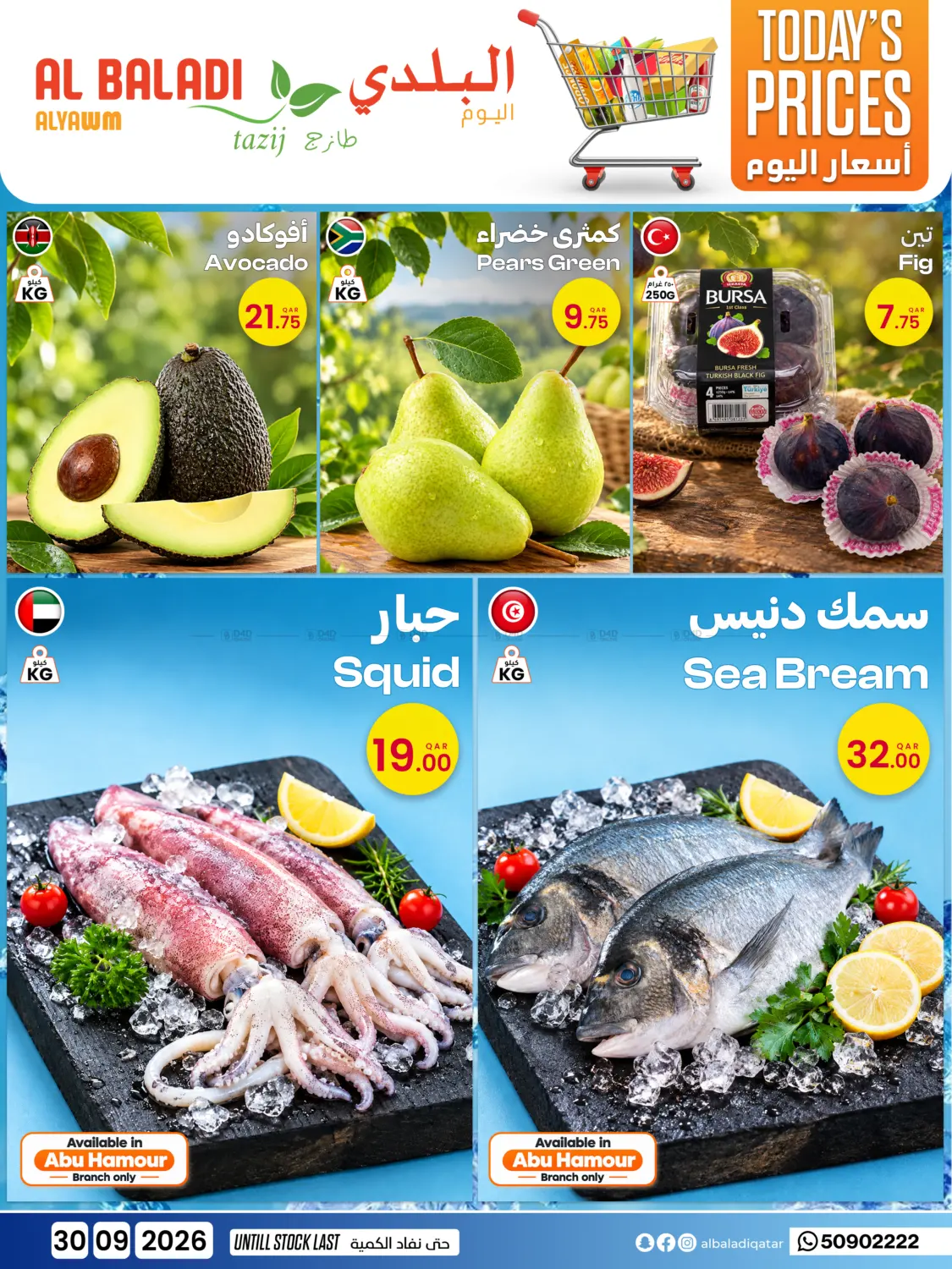 Today's Prices in Al Shamal