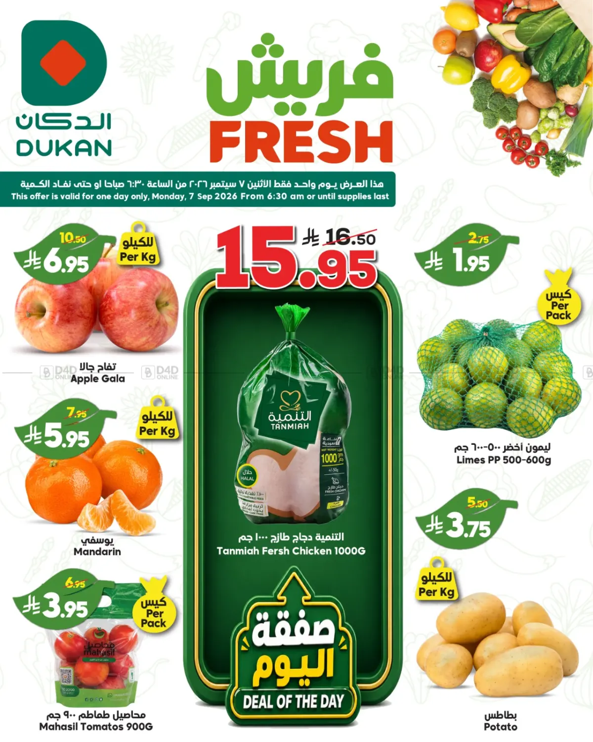 Fresh Offers in Jeddah