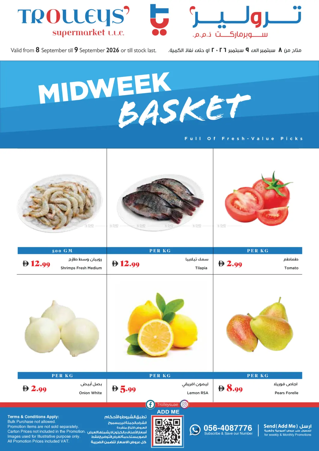 Midweek Basket in Dubai