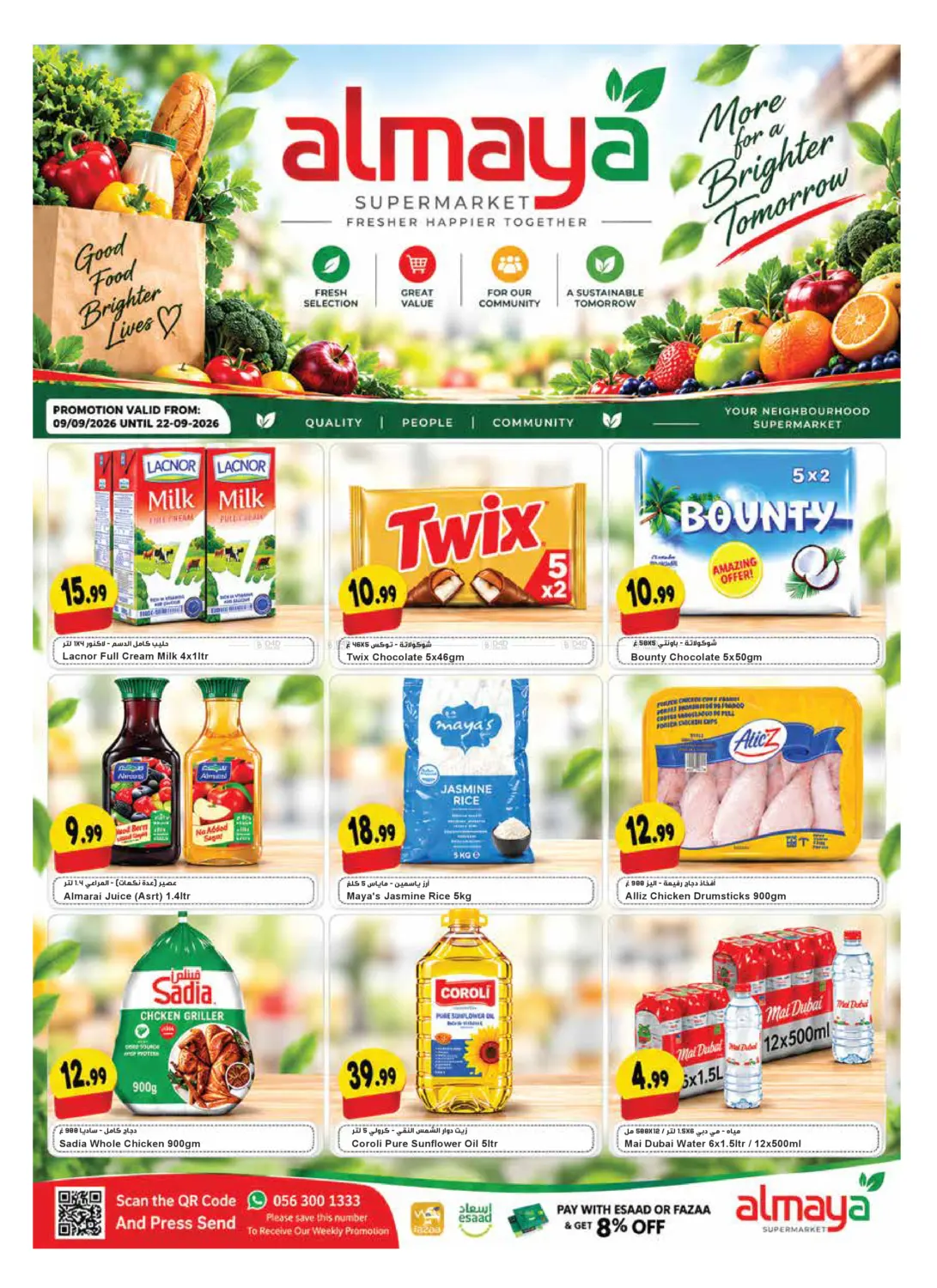 Special Offer in Dubai