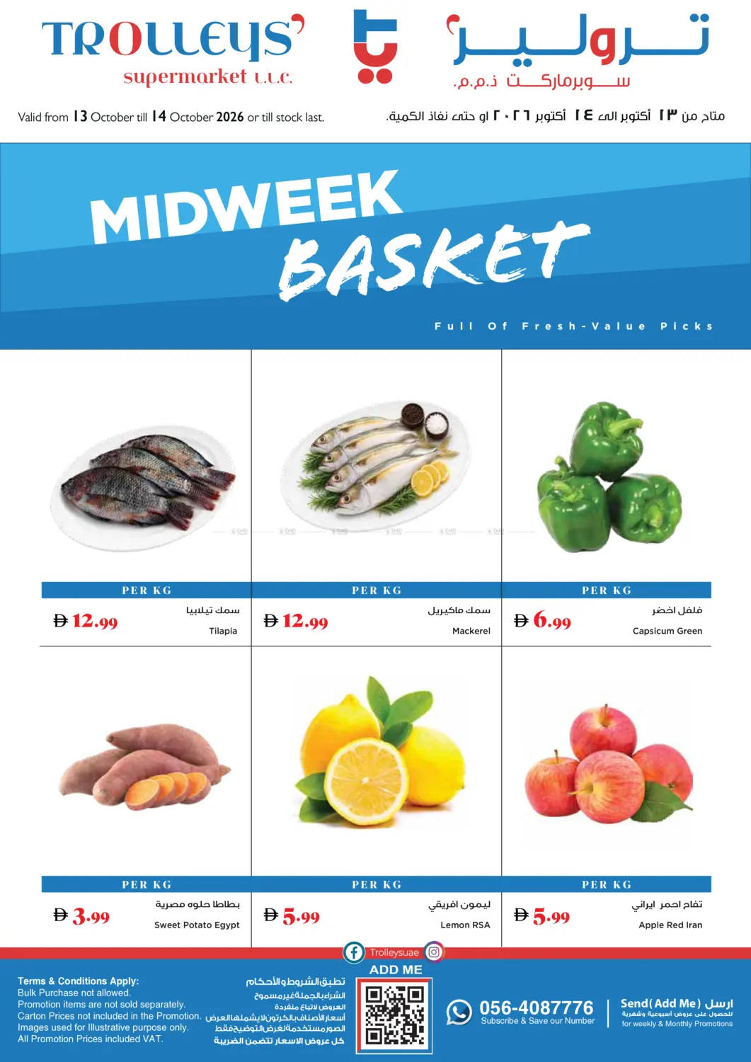 Midweek Basket in Dubai