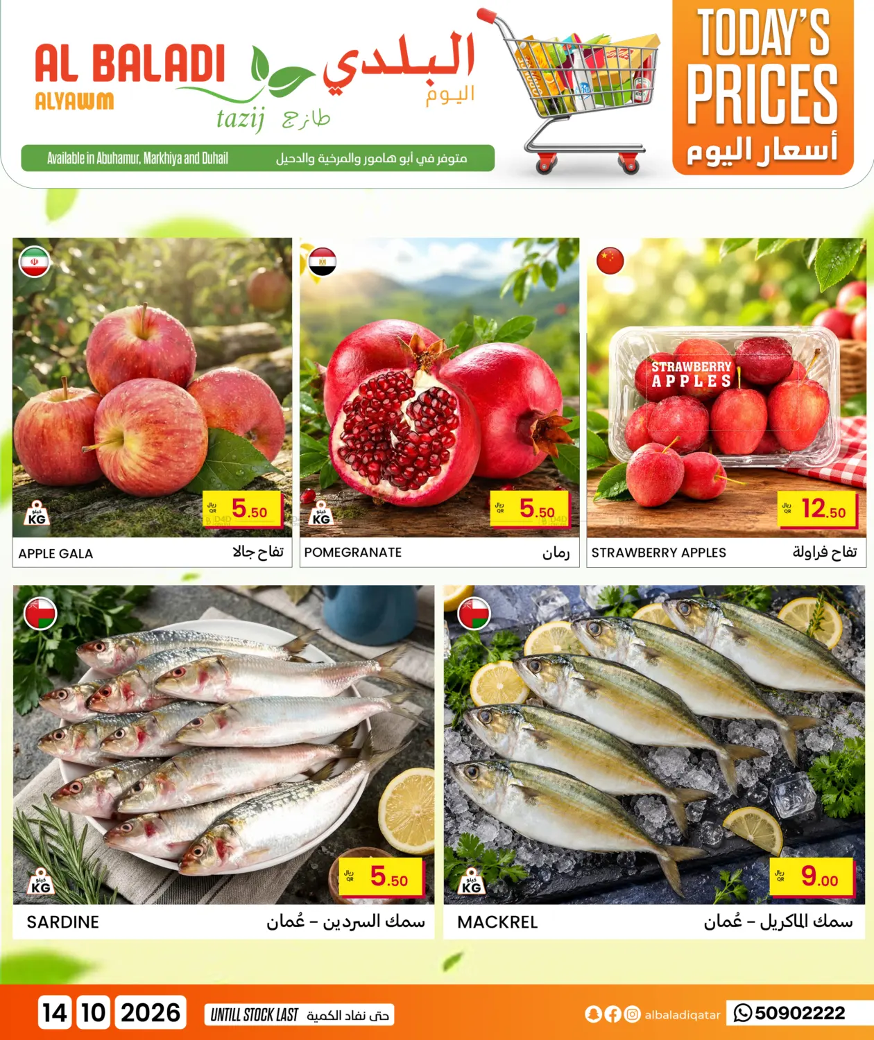 Today Price in Al-Shahaniya