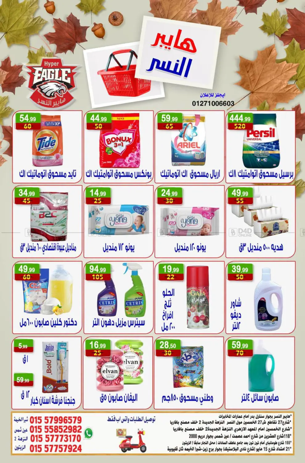 Special Offer in Cairo