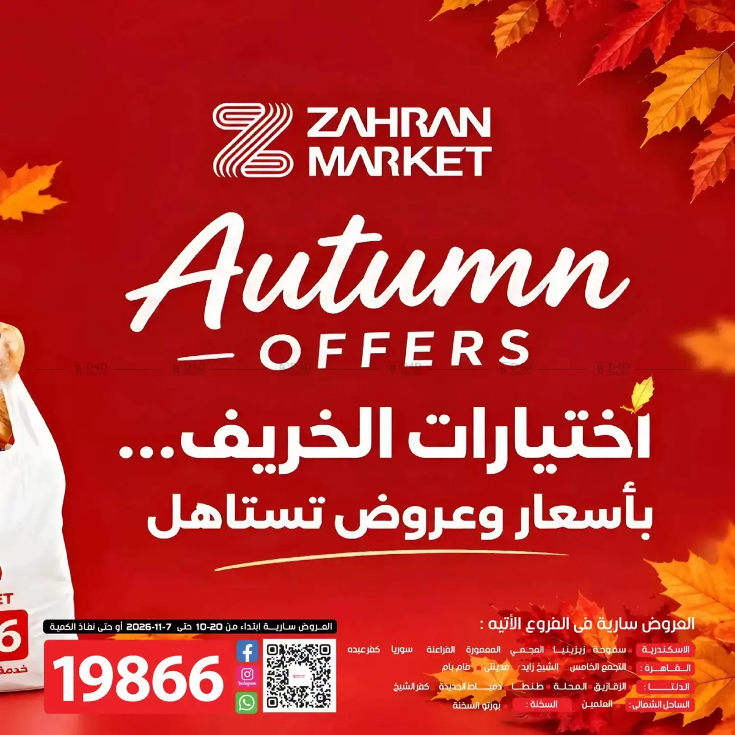 اختيارات الخريف in القاهرة