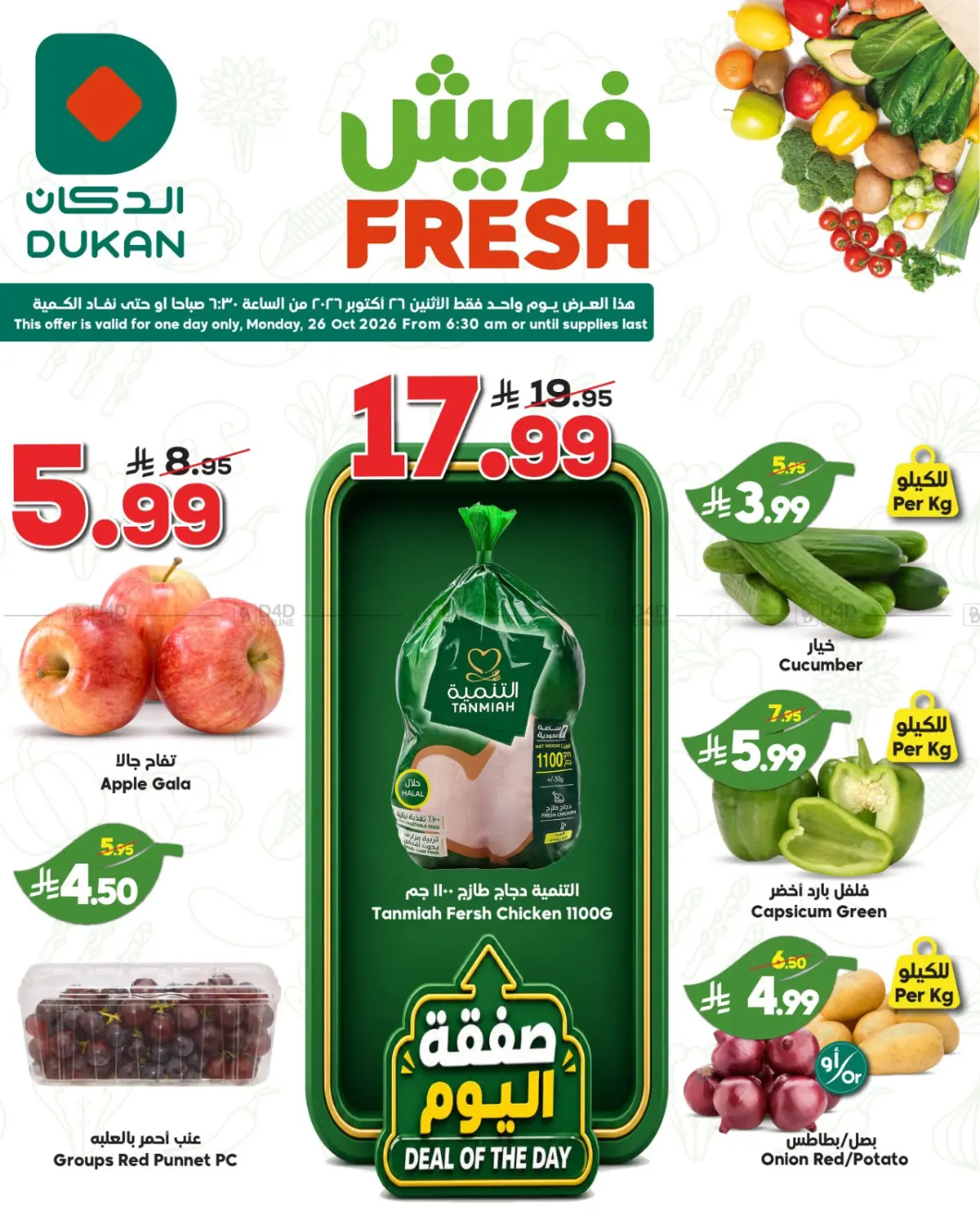 Fresh Offers in Jeddah