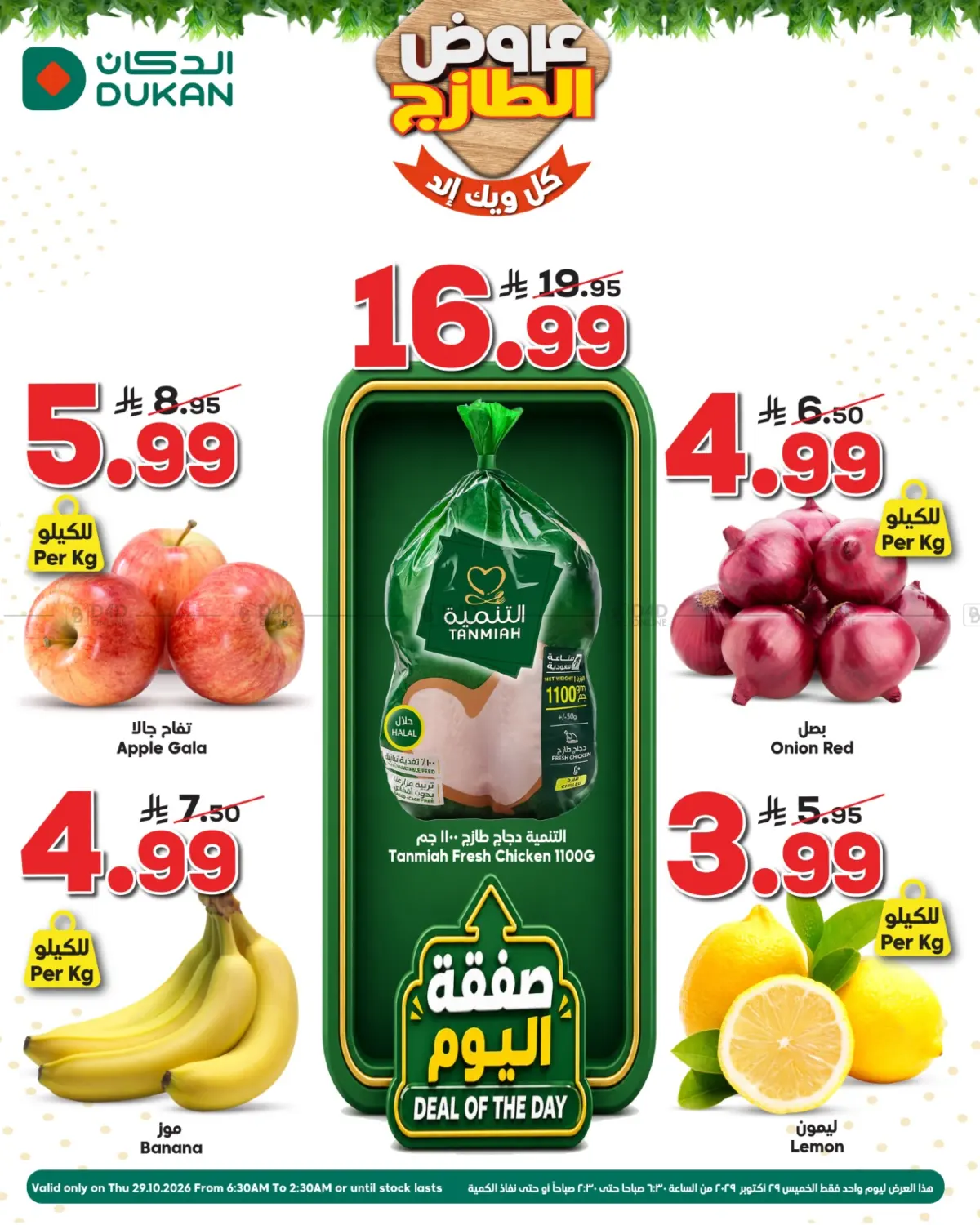 Special Offer in Jeddah