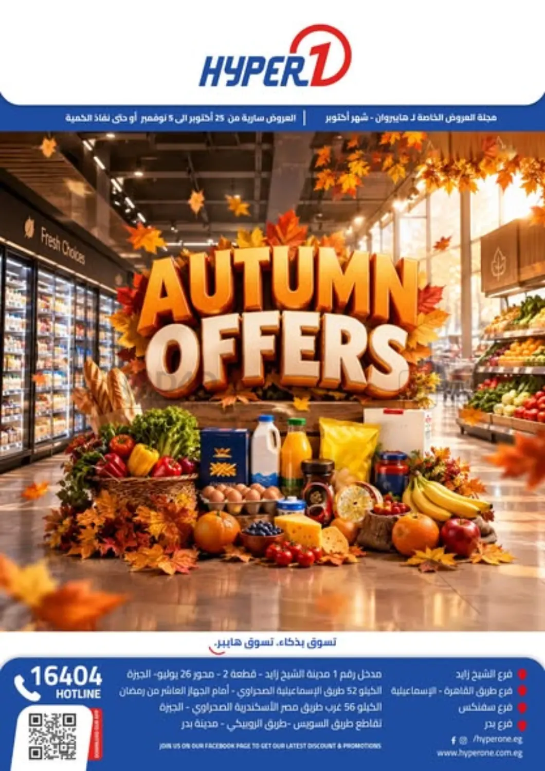 Special Offer in Cairo