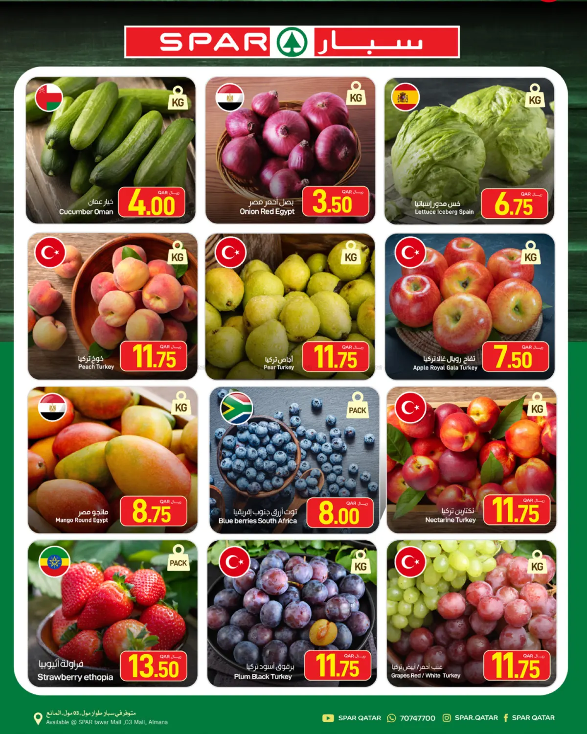 Special Offer in Al Wakra