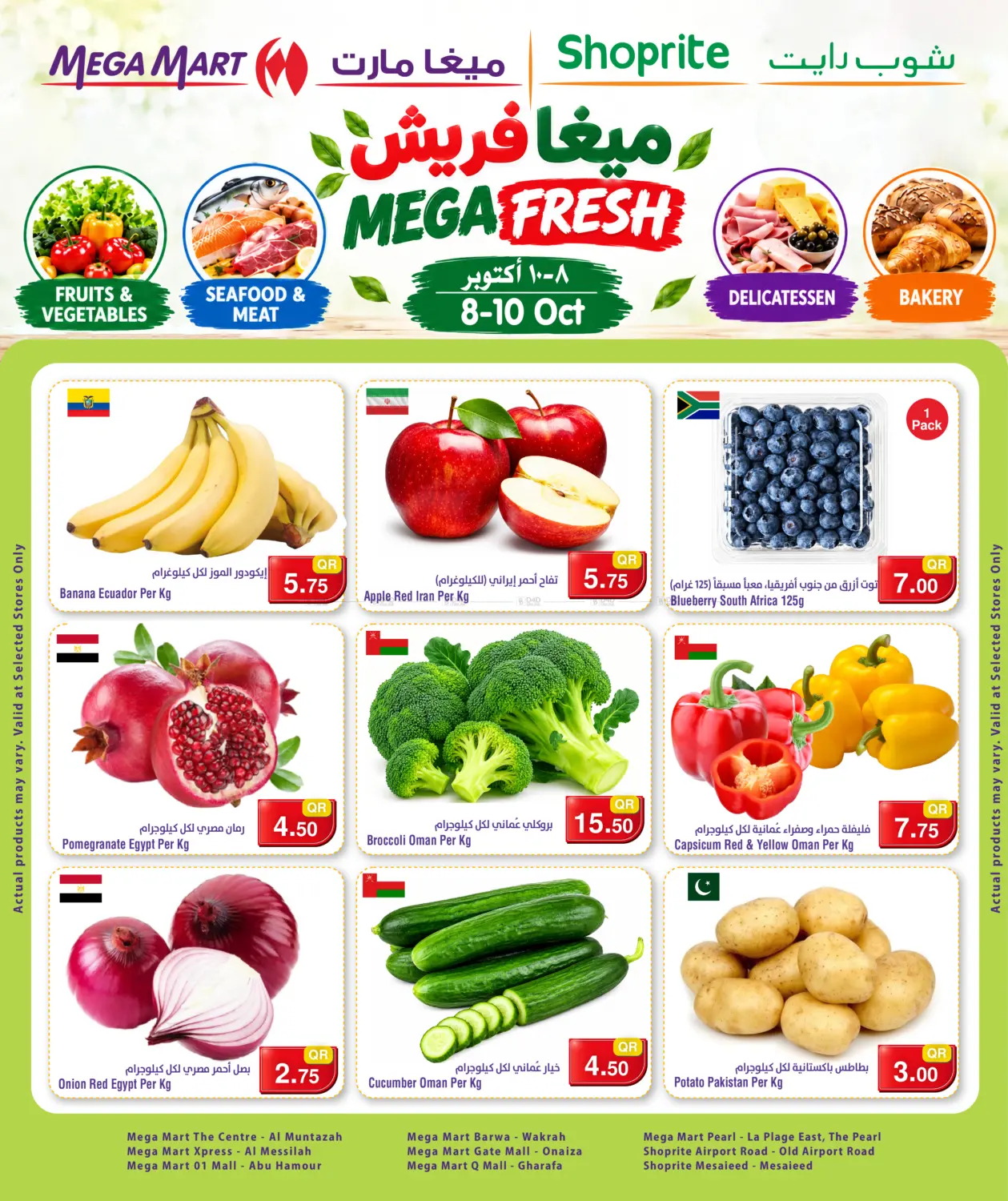 ميغا فريش in الشمال