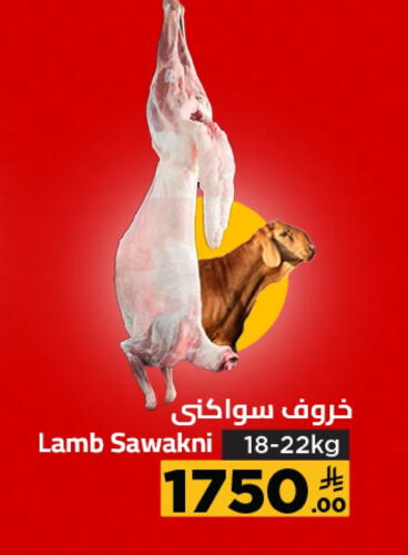 Mutton / Lamb available at Wahj Mart in KSA, Saudi Arabia, Saudi - Jeddah