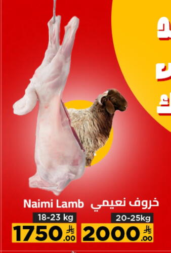 لحم الضأن / الغنم available at وهج مارت in مملكة العربية السعودية, السعودية, سعودية - جدة