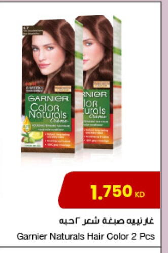 GARNIER Hair Colour available at The Sultan Center in Kuwait - Jahra Governorate