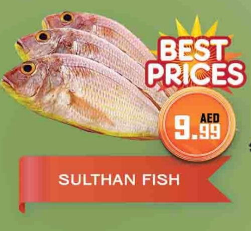 available at AL MADINA (Dubai) in UAE - Dubai