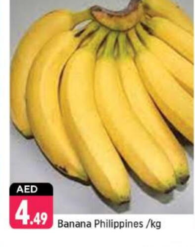 Banana from Philippines available at Shaklan  in UAE - Dubai