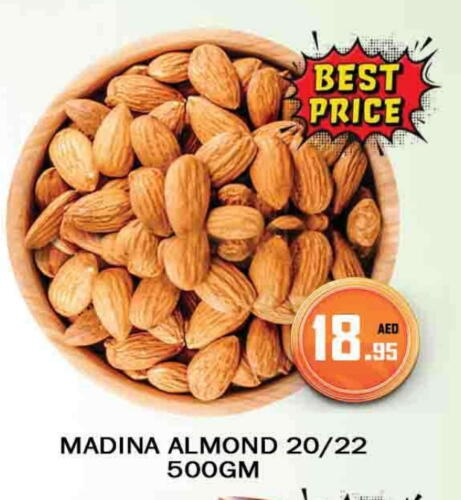 available at المدينة in الإمارات العربية المتحدة , الامارات - دبي