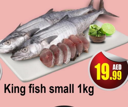 King Fish available at AL MADINA (Dubai) in UAE - Dubai