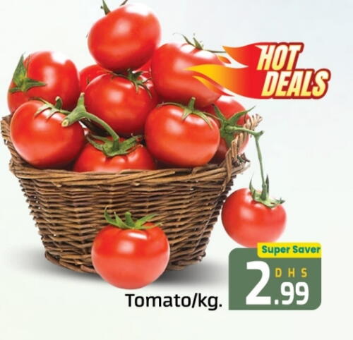 Tomato available at FOODZONE SUPERMARKET in UAE - Dubai