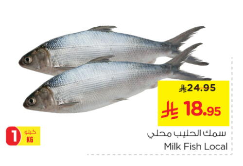 Fresh Fish in Nesto, Saudi Arabia Offers - Saudi Arabia available at Nesto in KSA, Saudi Arabia, Saudi - Al Majmaah