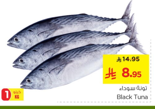 Fresh Fish in Nesto, Saudi Arabia Offers - Saudi Arabia Tuna available at Nesto in KSA, Saudi Arabia, Saudi - Al Majmaah