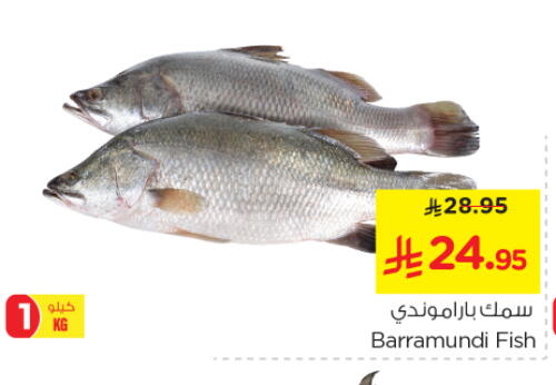 Fresh Fish in Nesto, Saudi Arabia Offers - Saudi Arabia available at Nesto in KSA, Saudi Arabia, Saudi - Al Majmaah