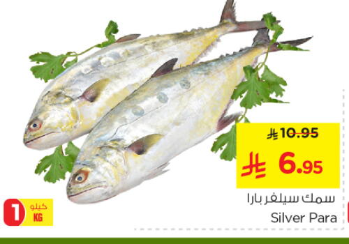 Fresh Fish in Nesto, Saudi Arabia Offers - Saudi Arabia available at Nesto in KSA, Saudi Arabia, Saudi - Al Majmaah