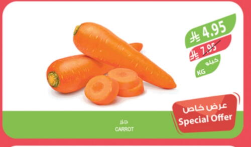 الخضروات الطازجة in المزرعة, المملكة العربية السعودية Offers - المملكة العربية السعودية جزر available at المزرعة in مملكة العربية السعودية, السعودية, سعودية - الباحة