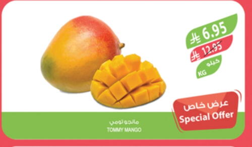 Fresh Fruits in Farm , Saudi Arabia Offers - Saudi Arabia Mangoes available at Farm in KSA, Saudi Arabia, Saudi - Al Khobar