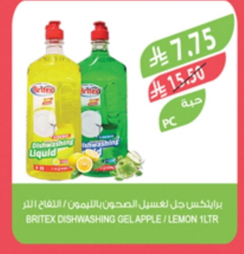 غسل الطبق in المزرعة, المملكة العربية السعودية Offers - المملكة العربية السعودية Apple Lemon available at المزرعة in مملكة العربية السعودية, السعودية, سعودية - الباحة