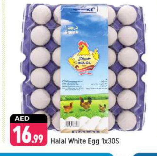 available at Shaklan  in UAE - Dubai