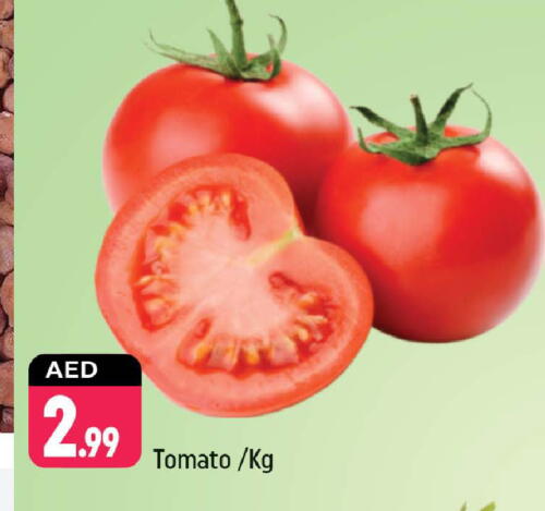 Tomato available at Shaklan  in UAE - Dubai