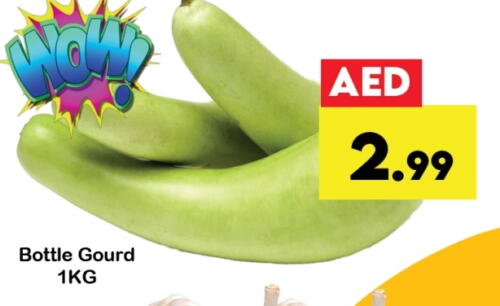 Fresh Vegetables in Zain Mart Supermarket, UAE Offers - United Arab Emirates Gourd available at Zain Mart Supermarket in UAE - Ras al Khaimah