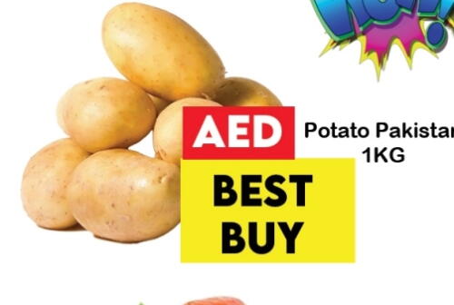Fresh Vegetables in Zain Mart Supermarket, UAE Offers - United Arab Emirates Potato available at Zain Mart Supermarket in UAE - Ras al Khaimah