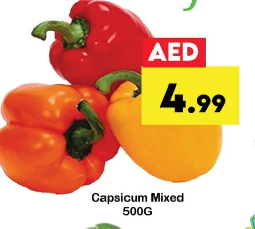 Fresh Vegetables in Zain Mart Supermarket, UAE Offers - United Arab Emirates Chilli / Capsicum available at Zain Mart Supermarket in UAE - Ras al Khaimah
