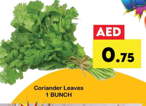 Canned & Packeted in Zain Mart Supermarket, UAE Offers - United Arab Emirates Coriander available at Zain Mart Supermarket in UAE - Ras al Khaimah