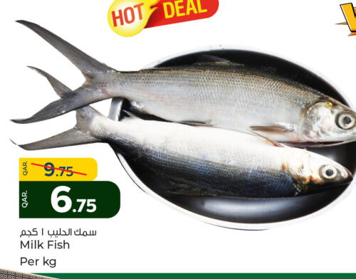 available at باريس هايبرماركت in قطر - الوكرة
