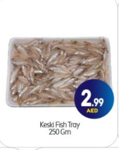 available at BIGmart in UAE - Abu Dhabi