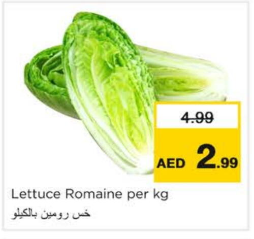 Fresh Vegetables in Nesto Hypermarket, UAE Offers - United Arab Emirates Lettuce available at Nesto Hypermarket in UAE - Ras al Khaimah
