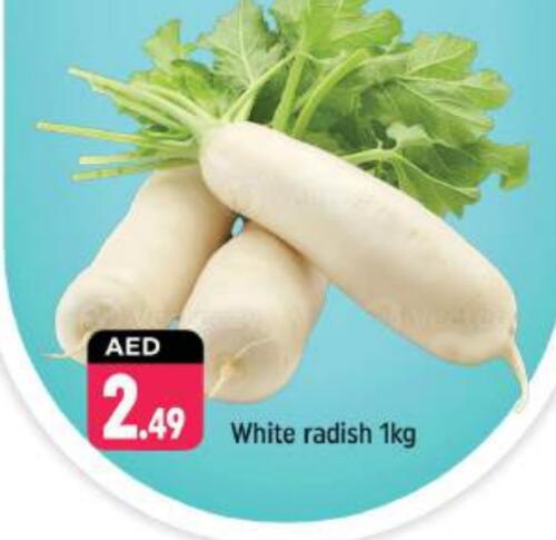 Fresh Vegetables in Shaklan , UAE Offers - United Arab Emirates Radish available at Shaklan in UAE - Dubai