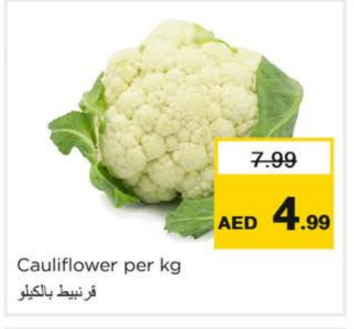 Fresh Vegetables in Nesto Hypermarket, UAE Offers - United Arab Emirates Cauliflower available at Nesto Hypermarket in UAE - Ras al Khaimah