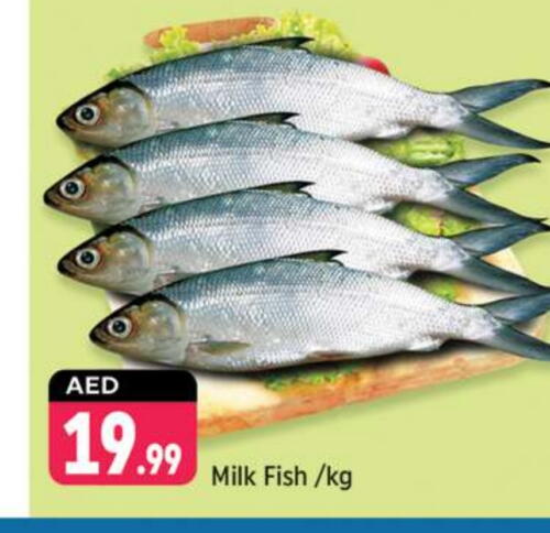 available at Shaklan  in UAE - Dubai